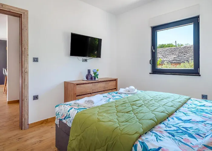 In With Wifi Tatil Evi